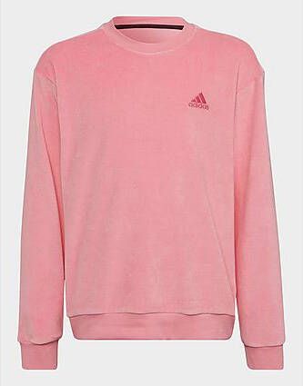 Adidas Lounge Velour Regular Sweatshirt Bliss Pink/Pulse Magenta